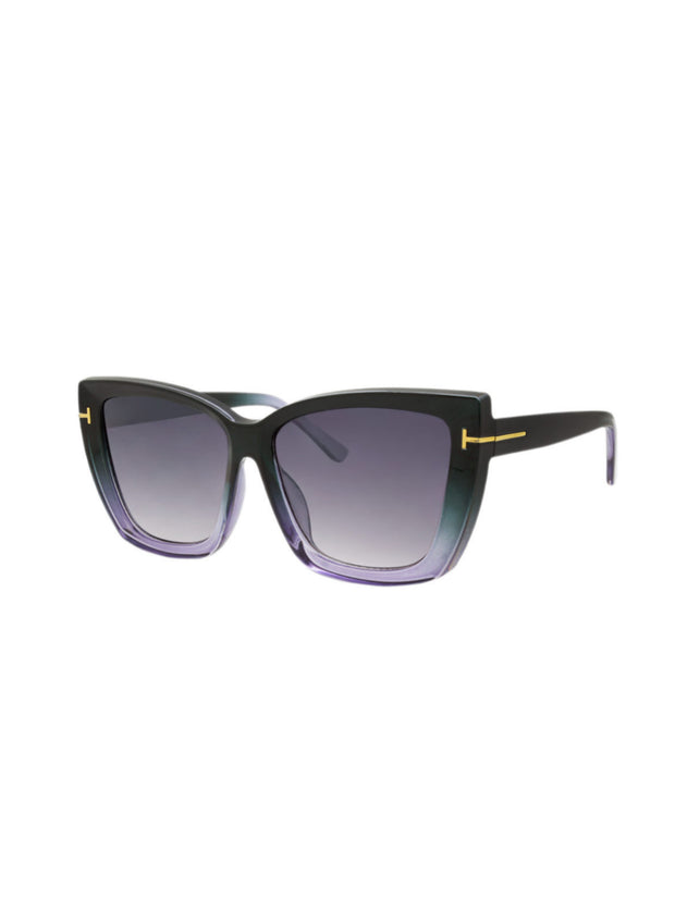 Acetate Frame Sunglasses Black-Purple DS410